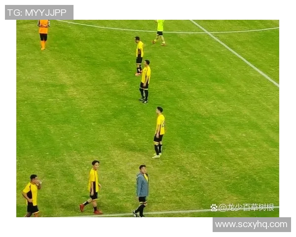 香港足球明星队挑战日本强队展现竞技风采与友谊精神